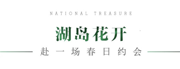 1585876640128165.jpg 洛阳最美的春天竟藏在这里2-1.jpg